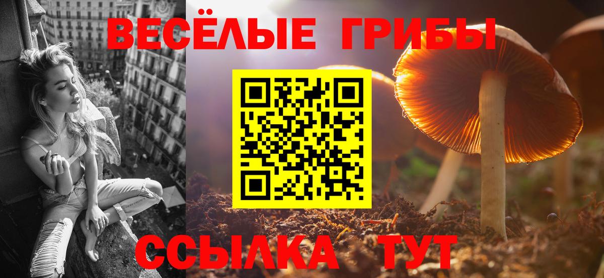 Псилоцибиновые грибы MAGIC MUSHROOMS  Вход с VPN  Красноперекопск 