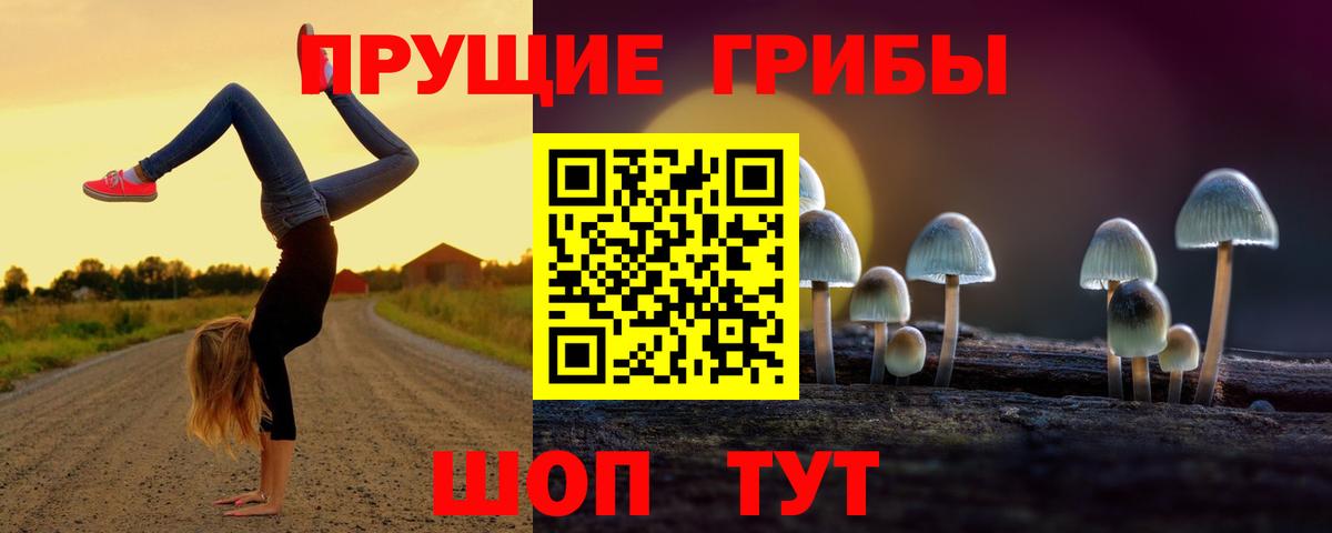 Псилоцибиновые грибы мицелий Красноперекопск